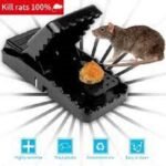 Automatic 20W Mosquito Pest Killer Machinep | straighthome®